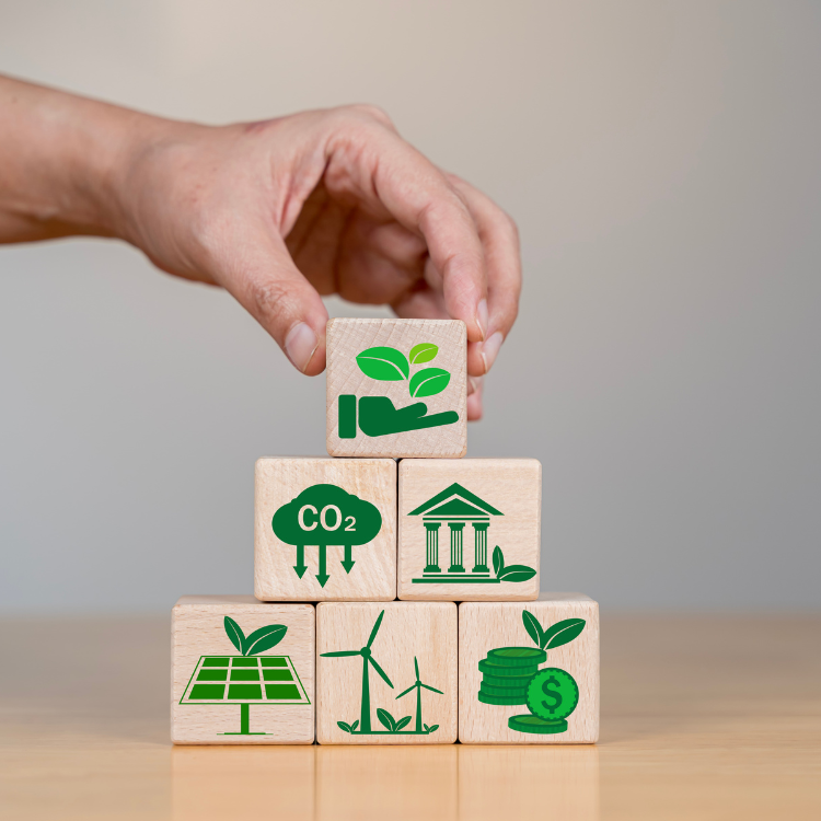 Untitled design (55) (1)